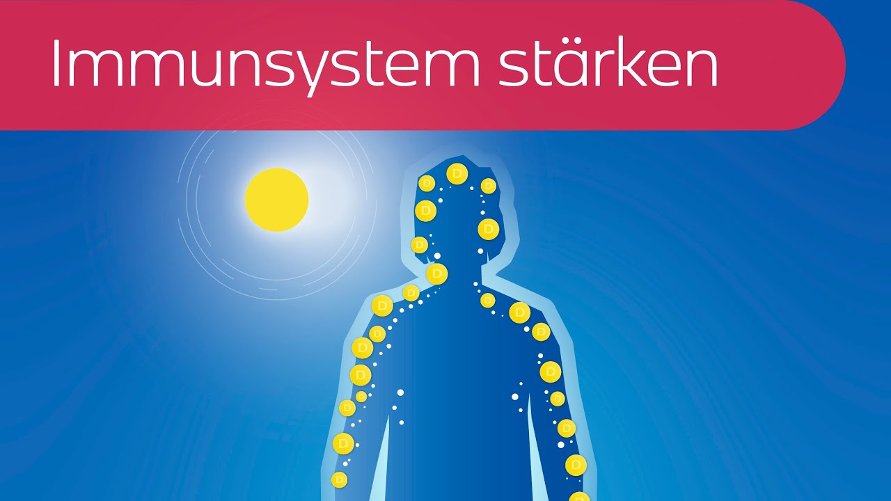 Wie gesunde Routinen das Immunsystem stärken